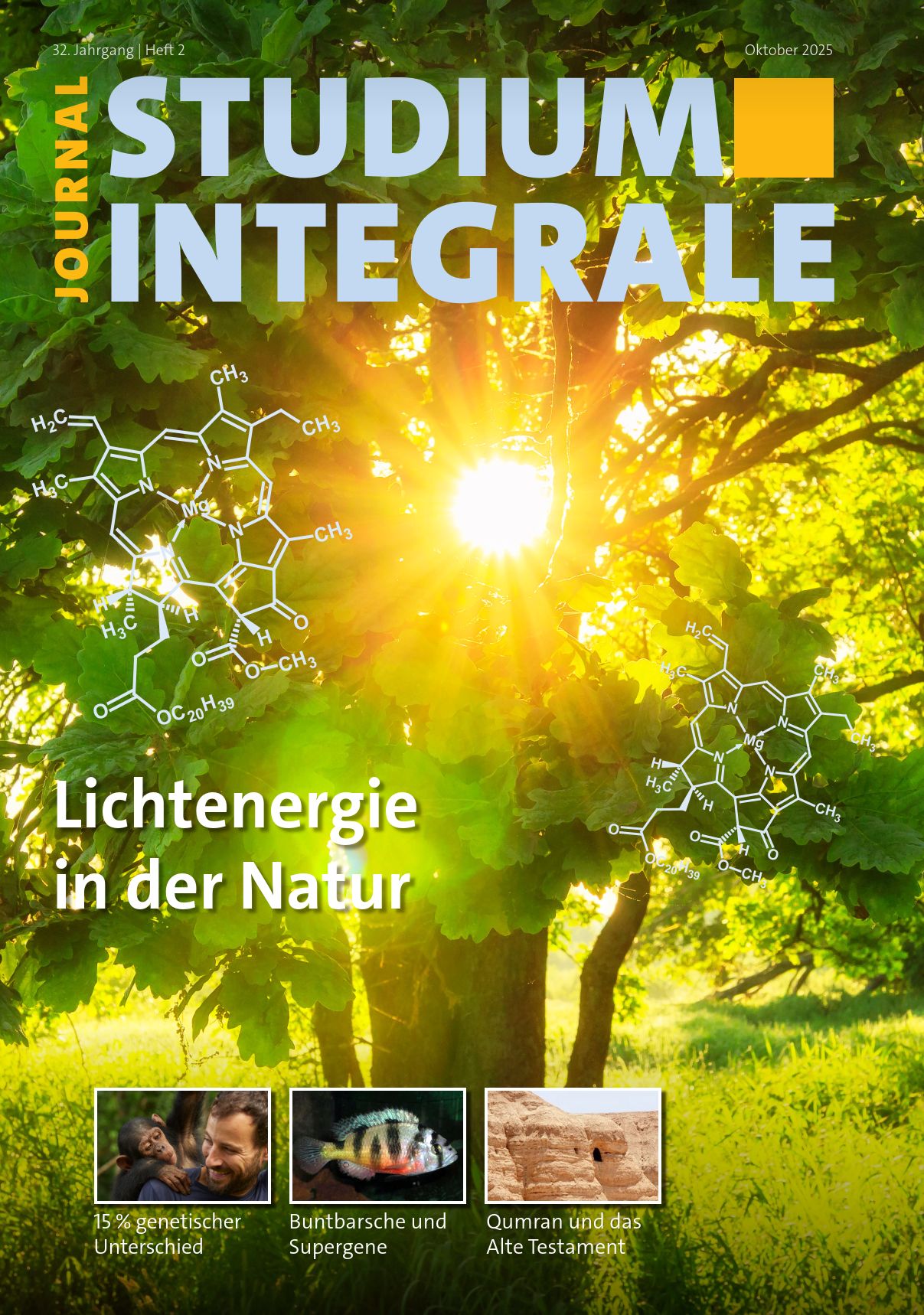 					Ansehen Bd. 32 Nr. 2 (2025): Lichtenergie in der Natur
				